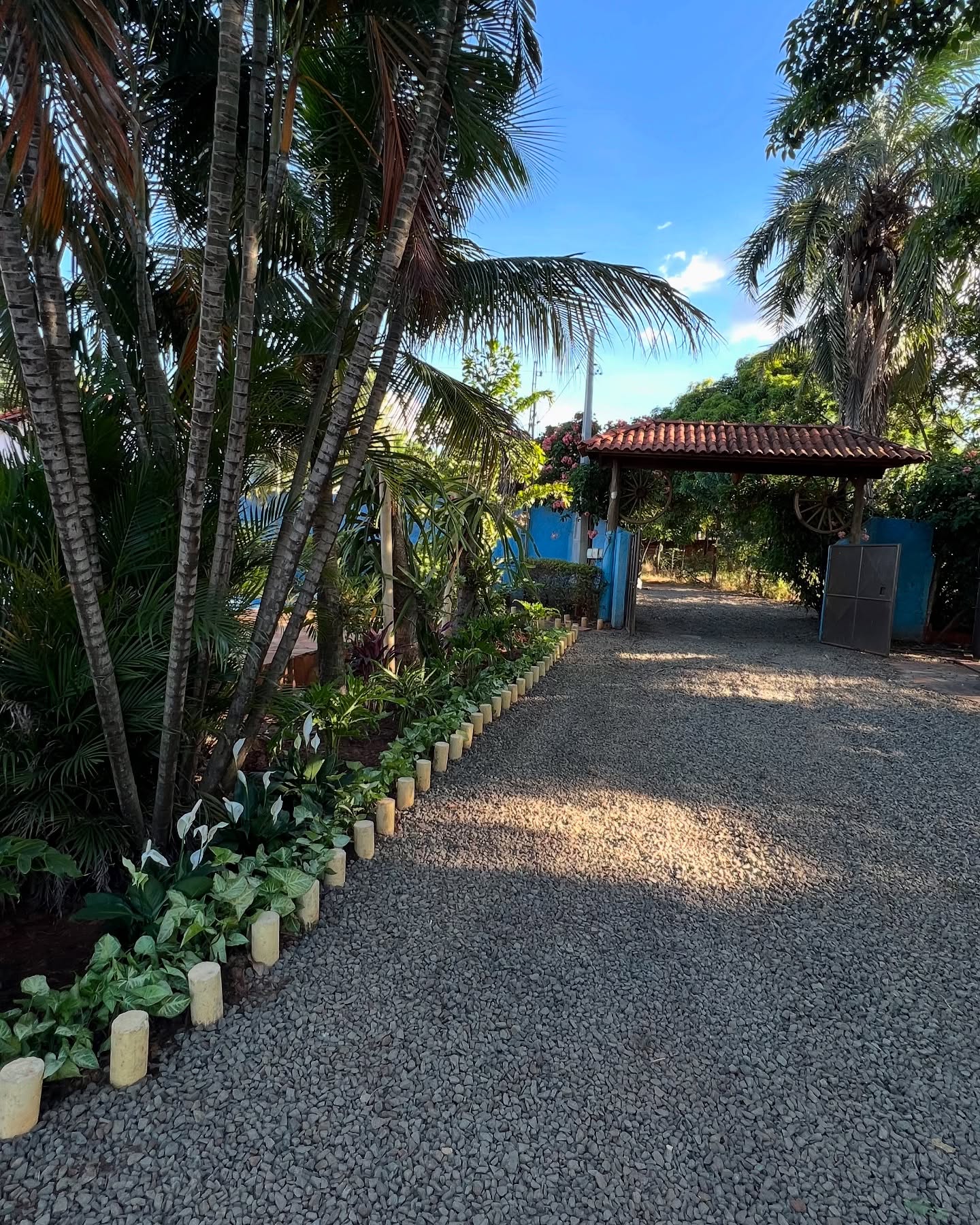 Entrada arborizada da chácara com palmeiras e jardim